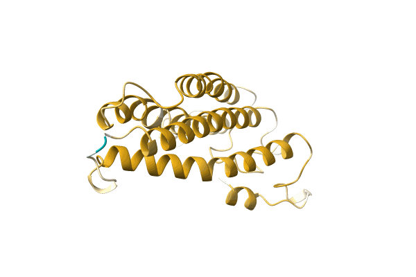 AF-A0A0B5A7V6-F1 image