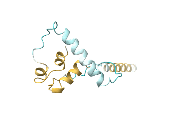 AF-A0A0B5A8Q2-F1 image