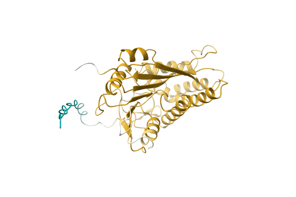 AF-A0A0B5L7R4-F1 image