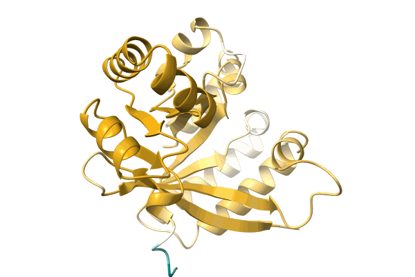 AF-A0A0B8PY54-F1 image