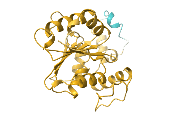 AF-A0A0B8X132-F1 image