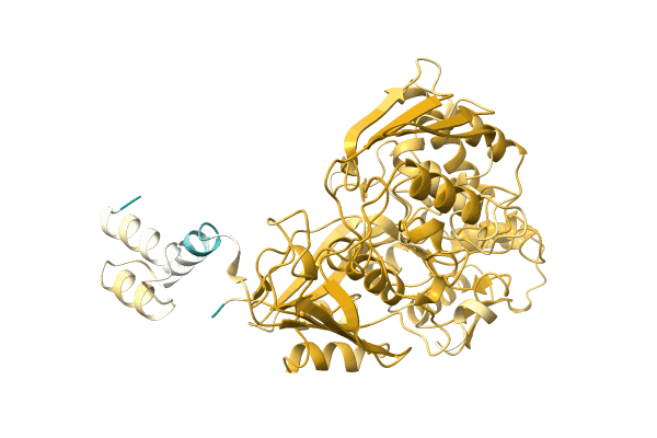 AF-A0A0C1J892-F1 image