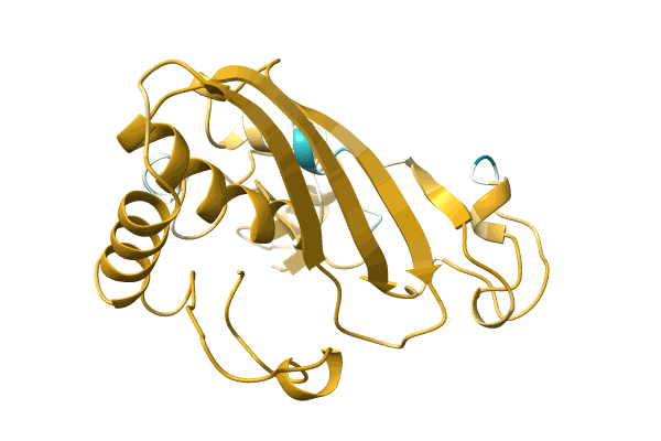 AF-A0A0C4ZL06-F1 image