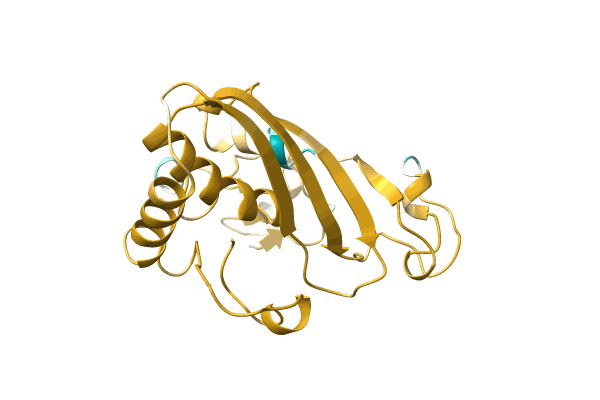 AF-A0A0C4ZMB7-F1 image