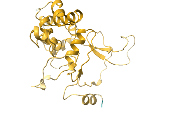 AF-A0A0C4ZMZ9-F1 image