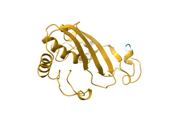 AF-A0A0C4ZNN1-F1 image