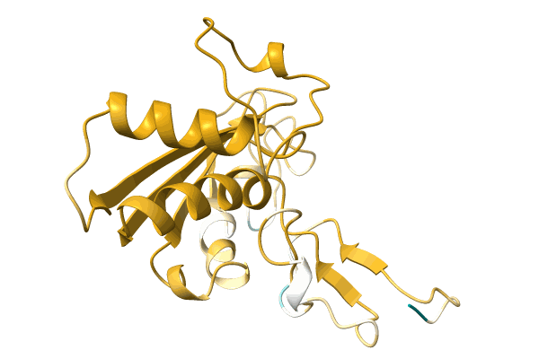 AF-A0A0C4ZNN2-F1 image