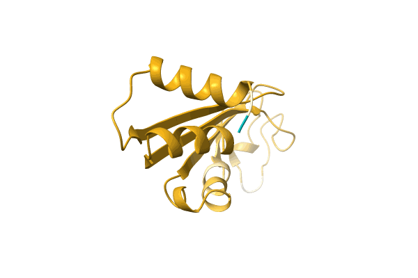 AF-A0A0C4ZNN8-F1 image