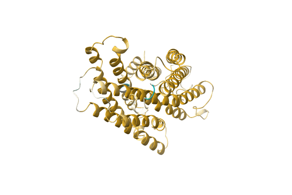 AF-A0A0C4ZQJ1-F1 image