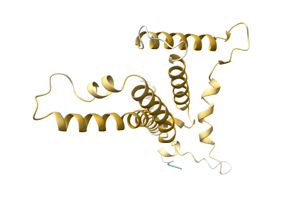 AF-A0A0C5BNQ5-F1 image