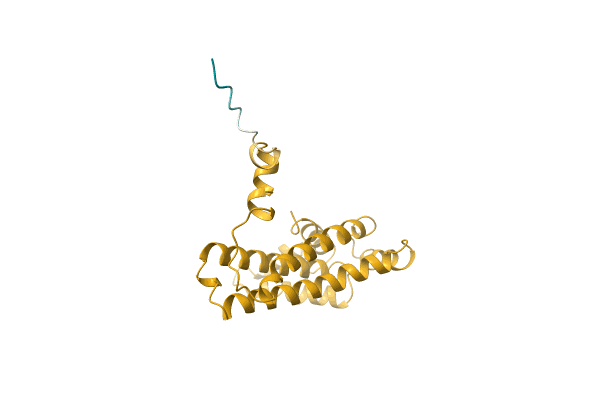 AF-A0A0C5BP82-F1 image