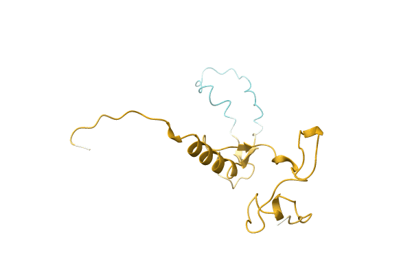 AF-A0A0C5D3V0-F1 image