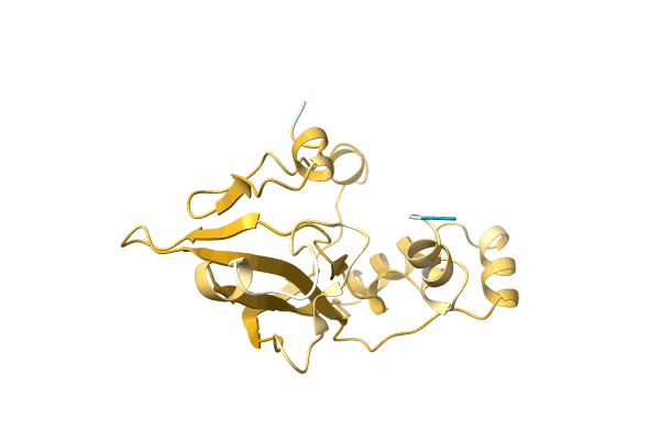 AF-A0A0C5D4V2-F1 image