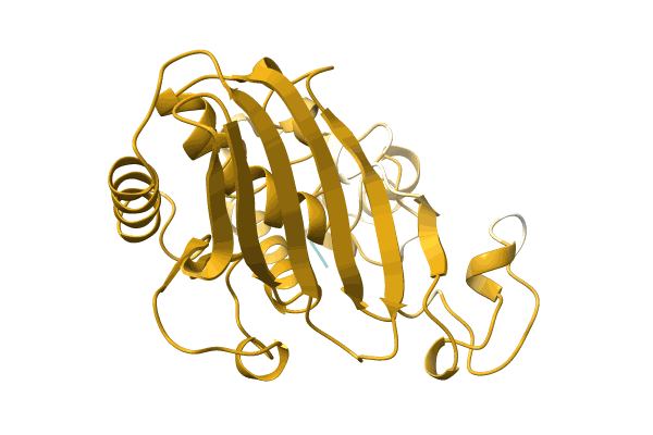 AF-A0A0C5D564-F1 image