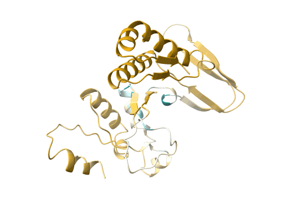 AF-A0A0C5D600-F1 image