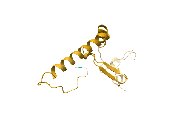 AF-A0A0C5D8C6-F1 image