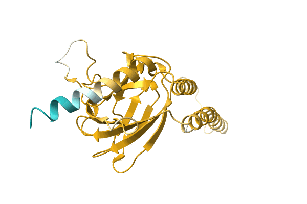 AF-A0A0C5D9N1-F1 image