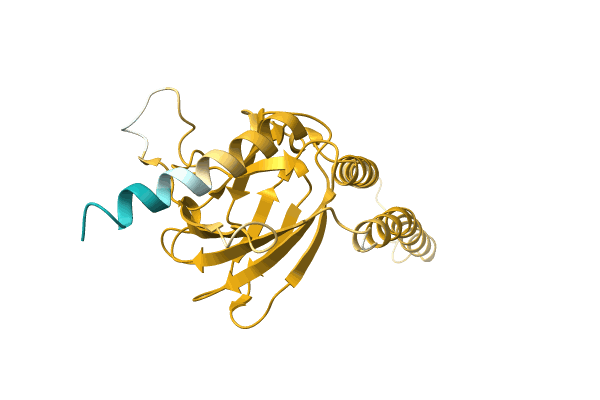 AF-A0A0C5D9Q5-F1 image