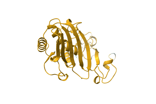 AF-A0A0C5D9Z7-F1 image