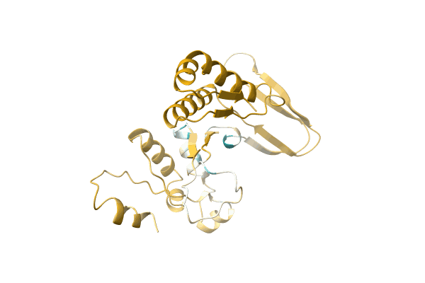 AF-A0A0C5DAV4-F1 image