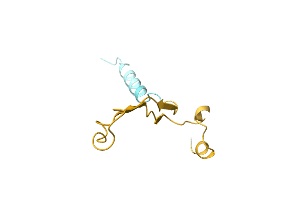 AF-A0A0C5DCP0-F1 image