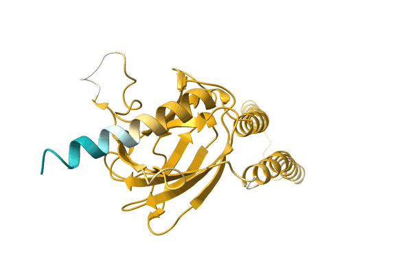 AF-A0A0C5DEC5-F1 image