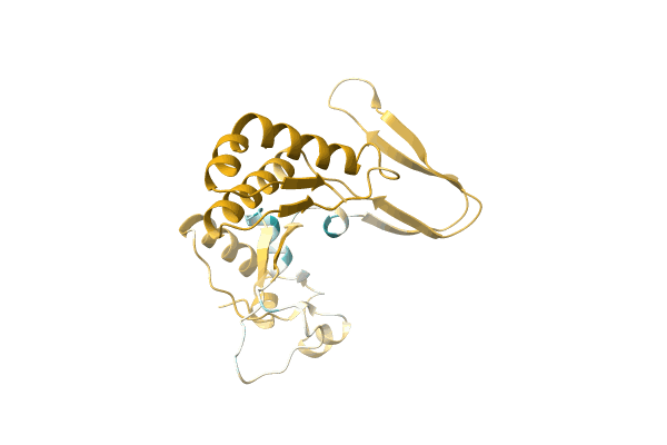 AF-A0A0C5DEZ1-F1 image