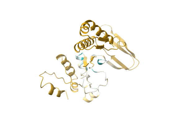 AF-A0A0C5DF23-F1 image