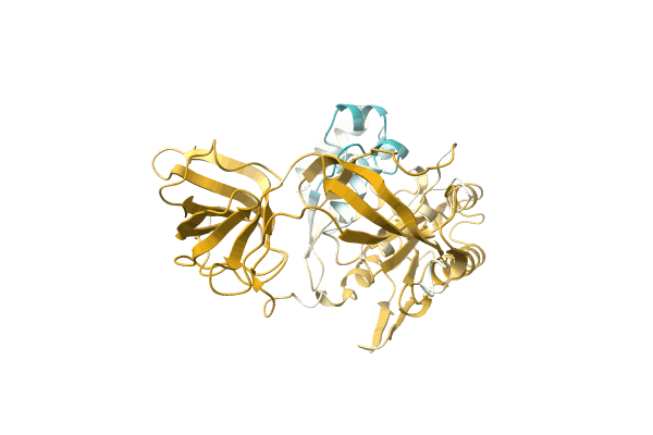 AF-A0A0C5DFG2-F1 image