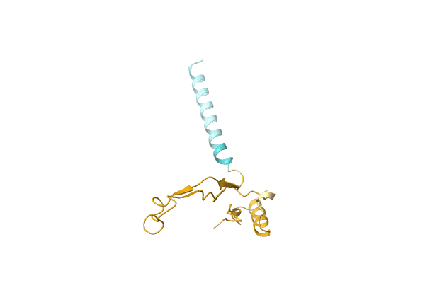 AF-A0A0C5DGQ9-F1 image