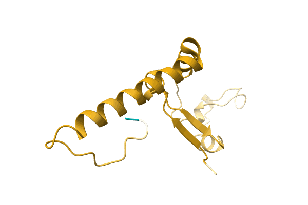 AF-A0A0C5DH45-F1 image