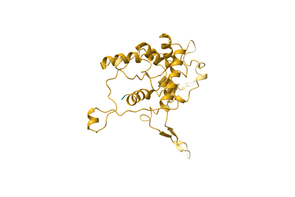 AF-A0A0C5DJ11-F1 image