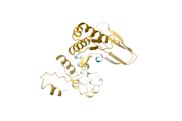 AF-A0A0C5DSE8-F1 image