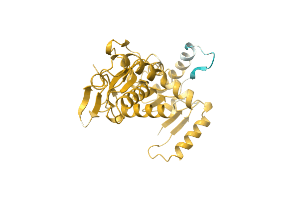 AF-A0A0C5DX29-F1 image