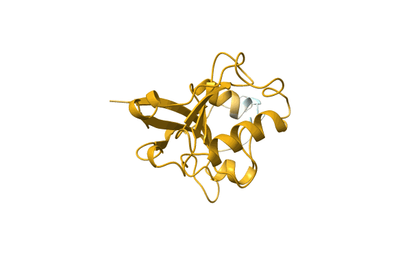 AF-A0A0C5XL88-F1 image