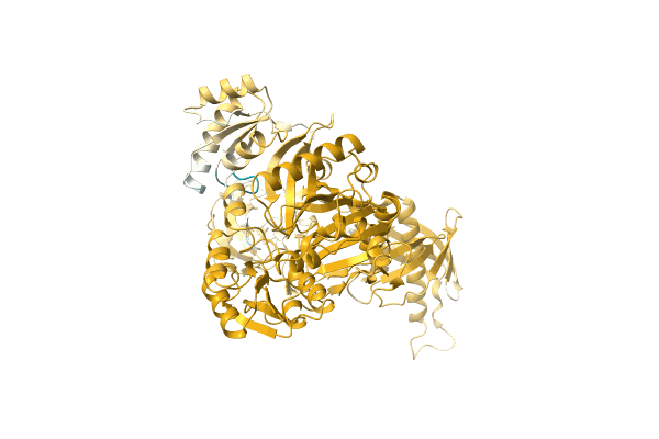 AF-A0A0D0Q2E3-F1 image