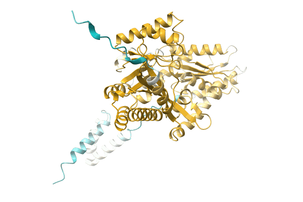 AF-A0A0D0Q3Y8-F1 image