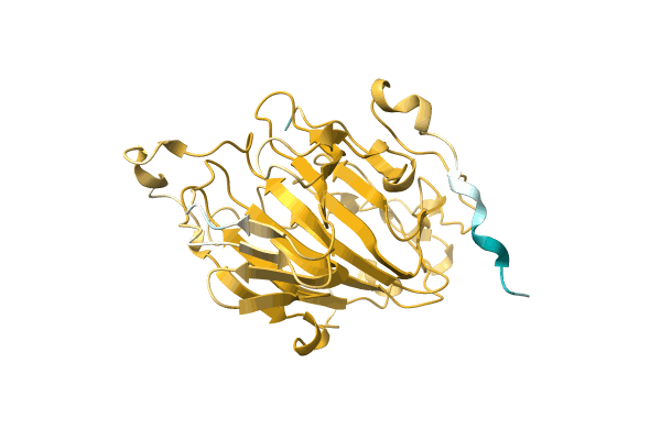 AF-A0A0D0QDF9-F1 image