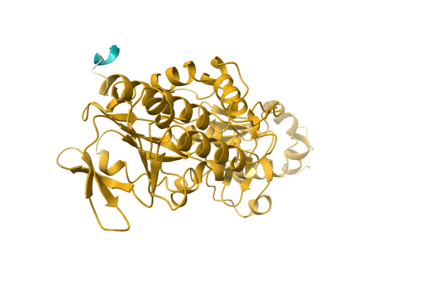 AF-A0A0D0QDH4-F1 image