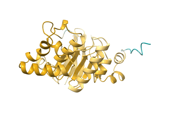 AF-A0A0D0QDJ0-F1 image