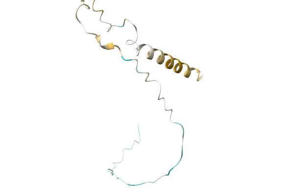 AF-A0A0D0UYB2-F1 image