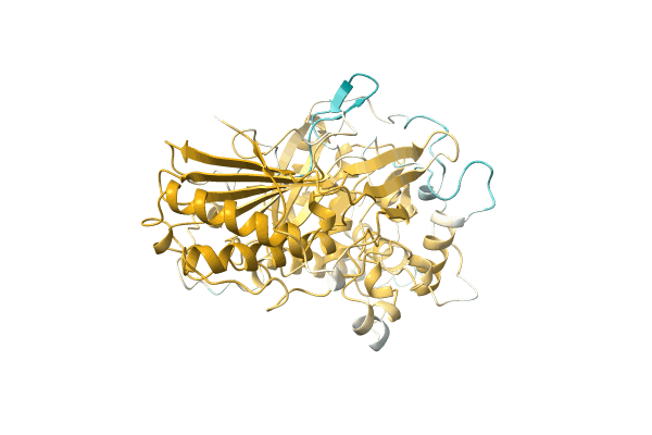 AF-A0A0D1CFE5-F1 image