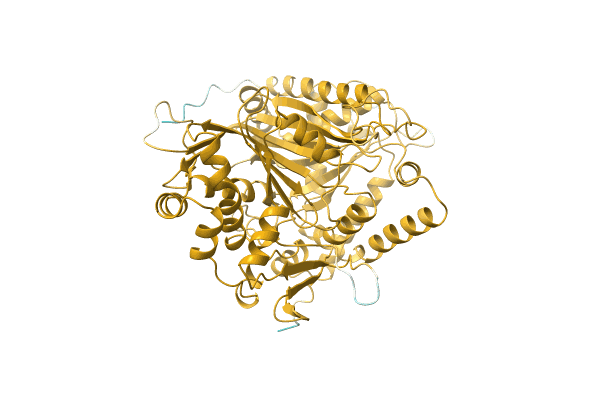 AF-A0A0D1CRD0-F1 image