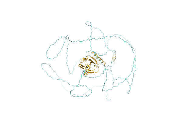 AF-A0A0D1CVS5-F1 image