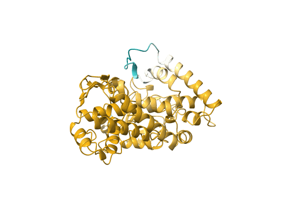 AF-A0A0D1L988-F1 image