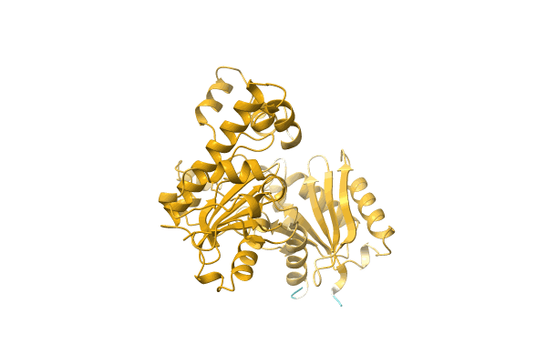 AF-A0A0D1L9G9-F1 image