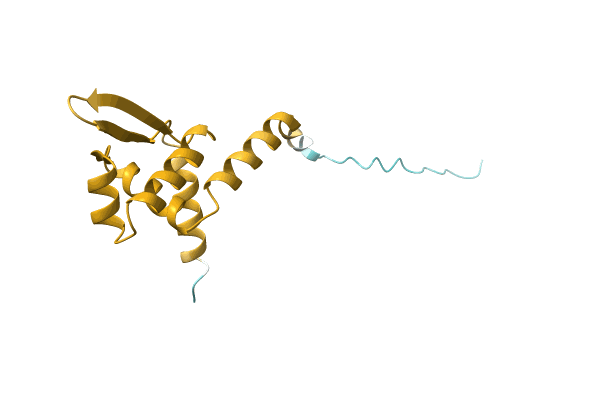 AF-A0A0D1L9H7-F1 image