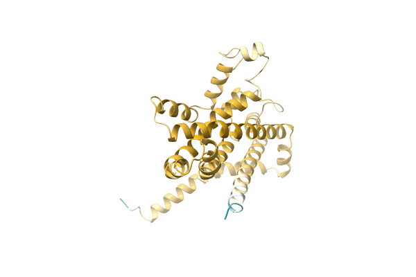 AF-A0A0D1L9M3-F1 image