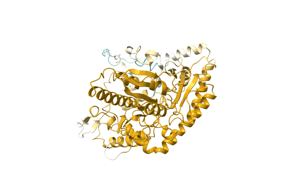 AF-A0A0D2DAK7-F1 image