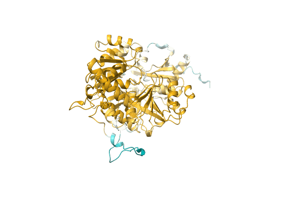 AF-A0A0D2DB17-F1 image